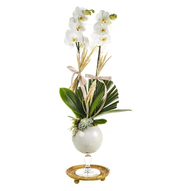 White Noble Orchid