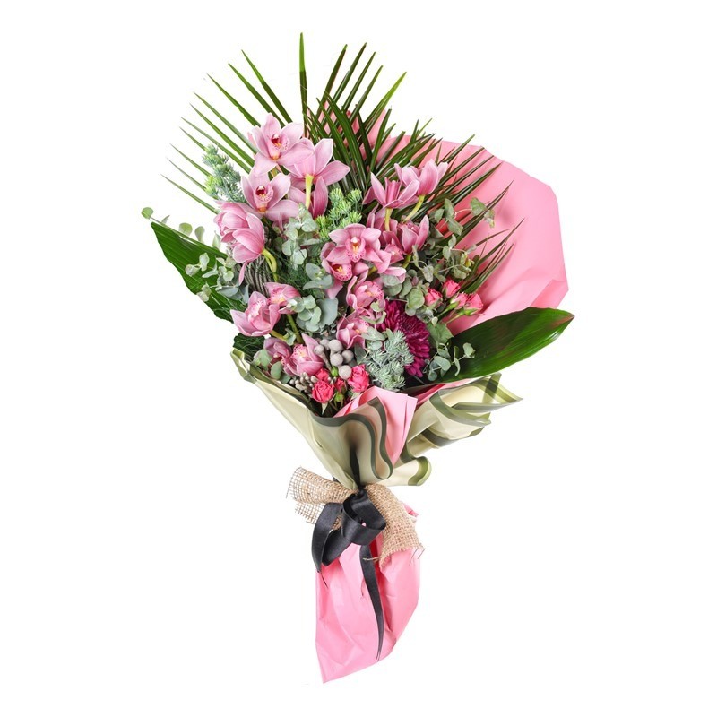 Pastel Orchid Grace Premium