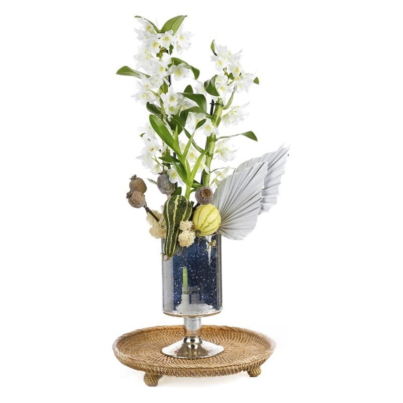 Bliss White Dendrobium Orchid