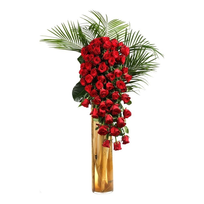 First Kiss & Long Arrangement