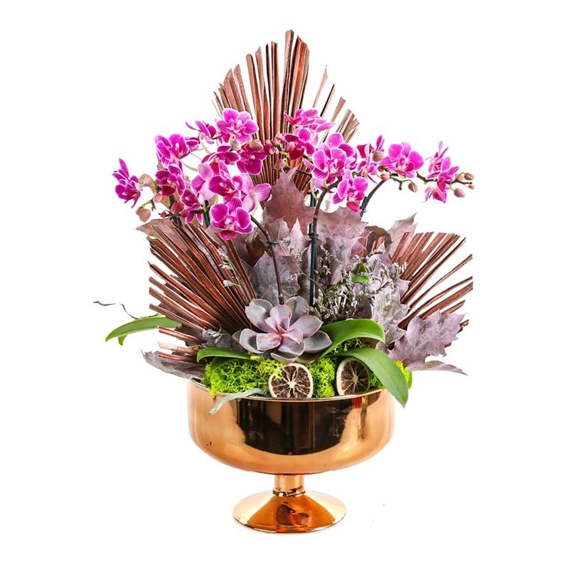 Mini Luxury Orchid