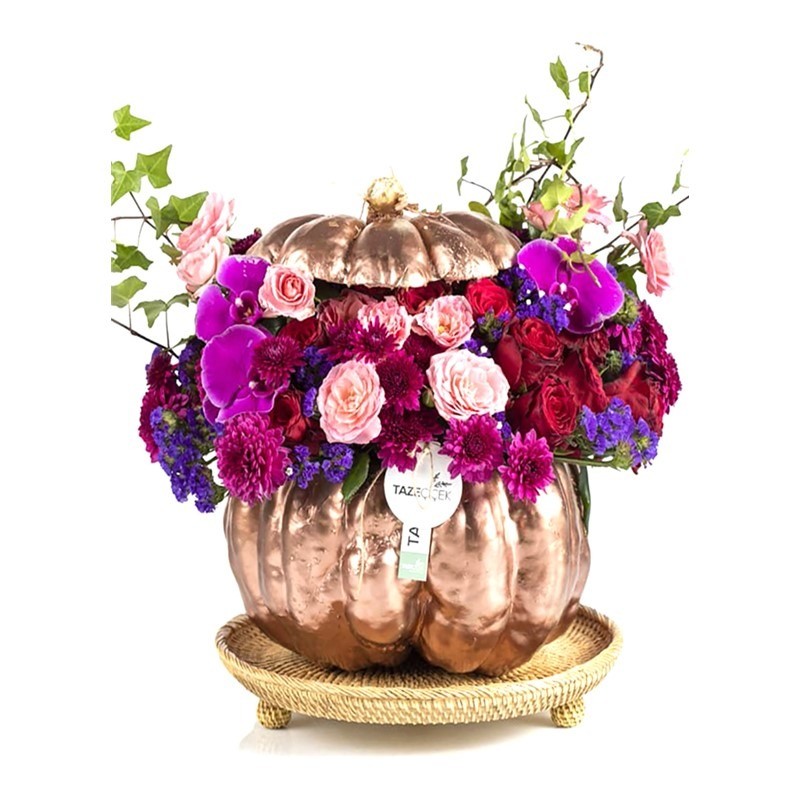Pumpkin Purple Hope