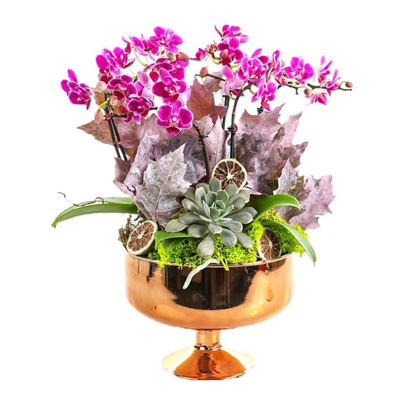 Purple Orchid Gold Vase