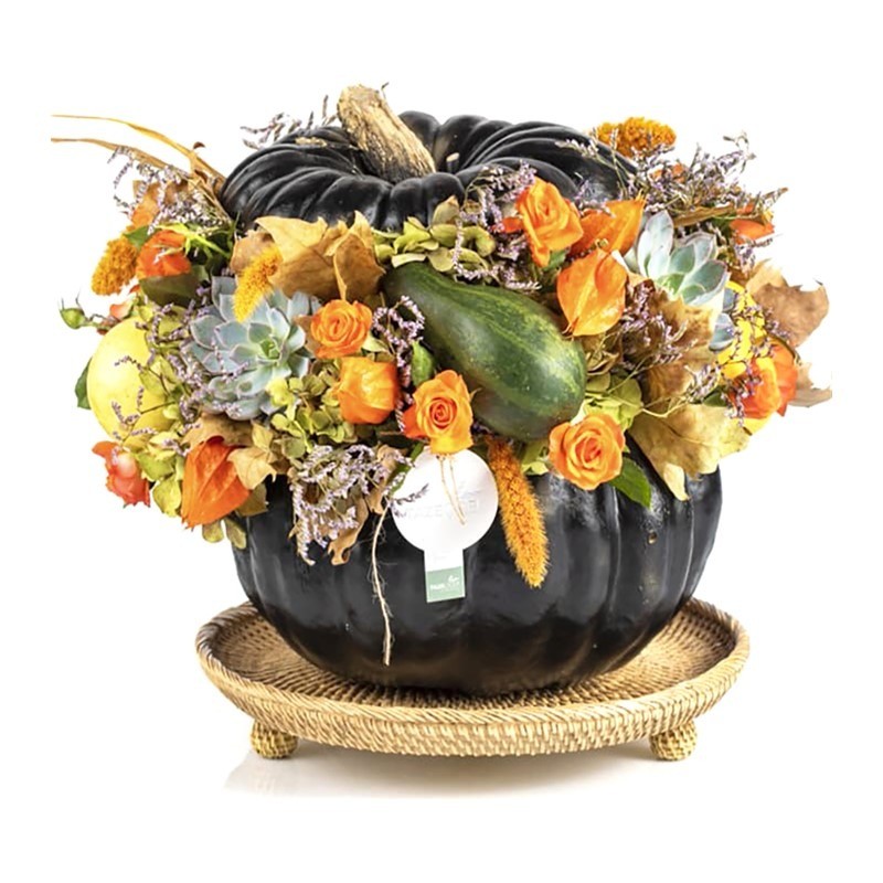 Pumpkin İnfinite