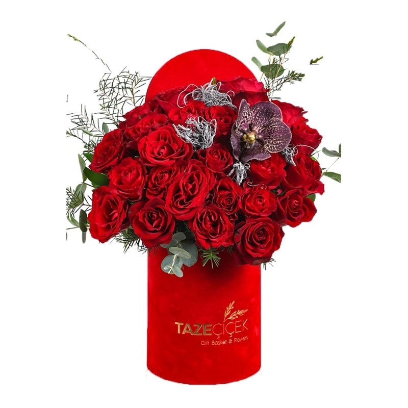 Vanda Of Red Rose