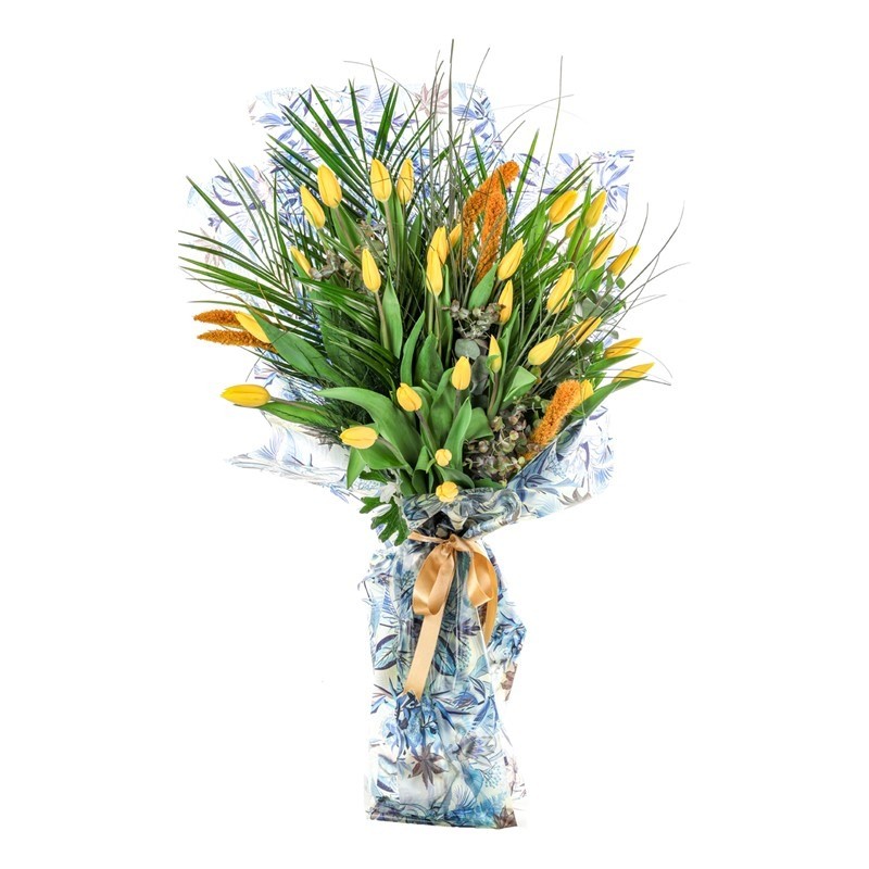 Yellow Tulip Wind